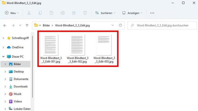 Ein Word Dokument In Jpeg Umwandeln – KWZNZE